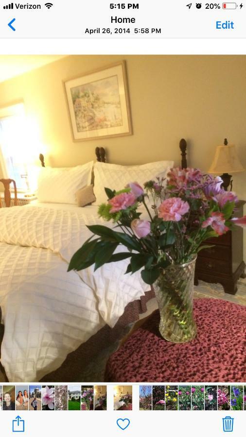 Wellesley Bed And Breakfast エクステリア 写真